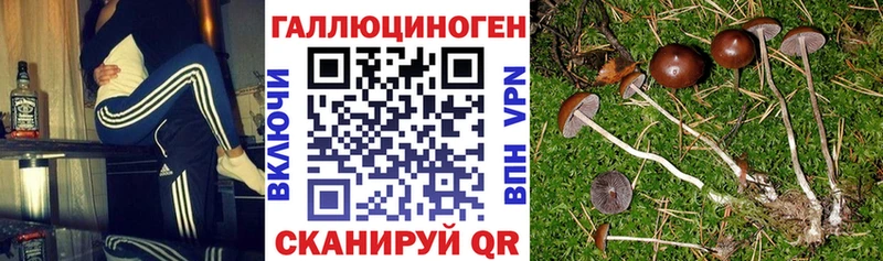 Псилоцибиновые грибы MAGIC MUSHROOMS  Тулун 